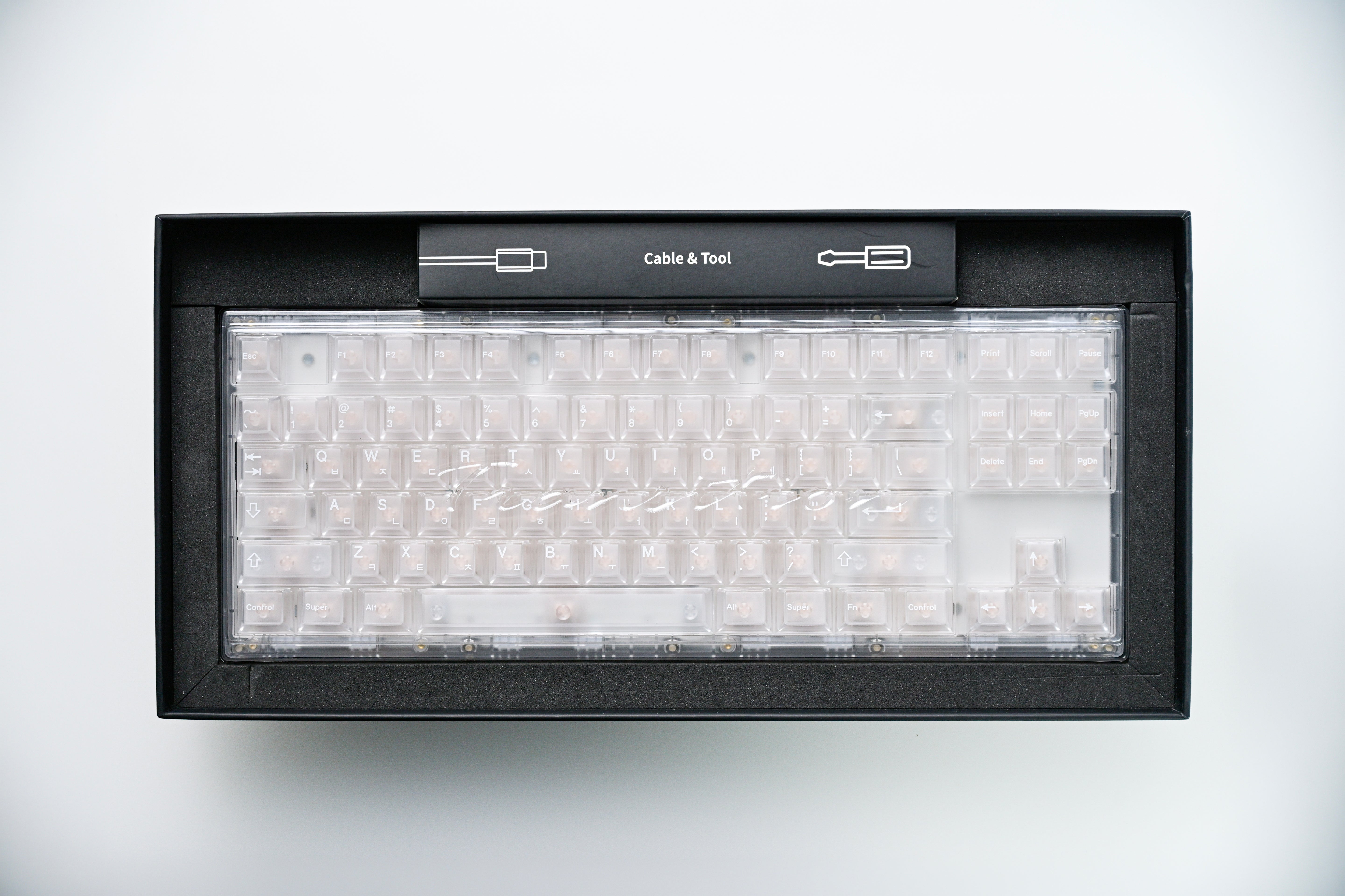[In-Stock] Transition Lite 87